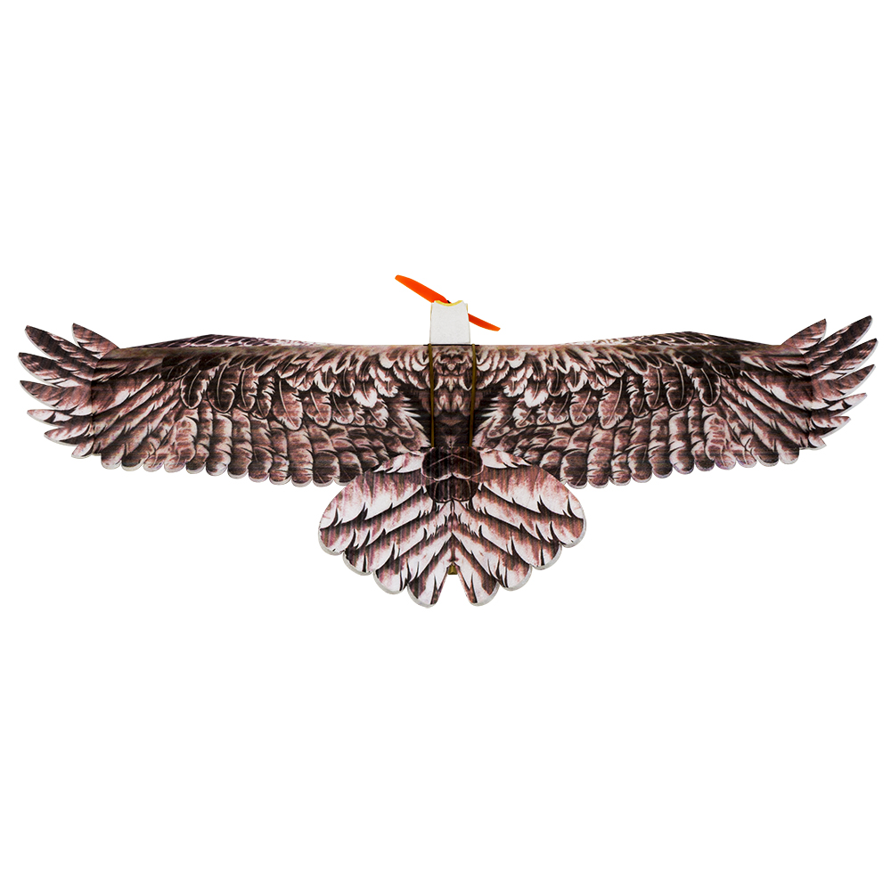 DW Hobby Eagle II EPP Airplane - Model Kit Expert ulasan dan harga